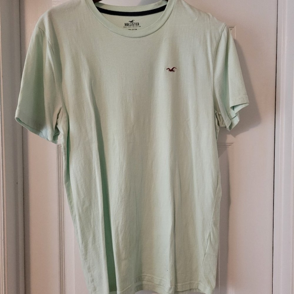 Mens Hollister T-Shirt, Must-Have Collection, Mint Green, Large